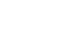 Mercer Sport